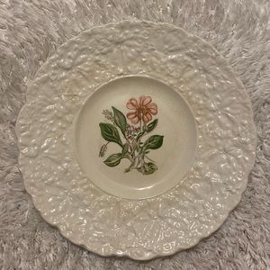 Royal Cauldon Bristol Ironstone Woodstock “Rock Purslane” Floral Plate